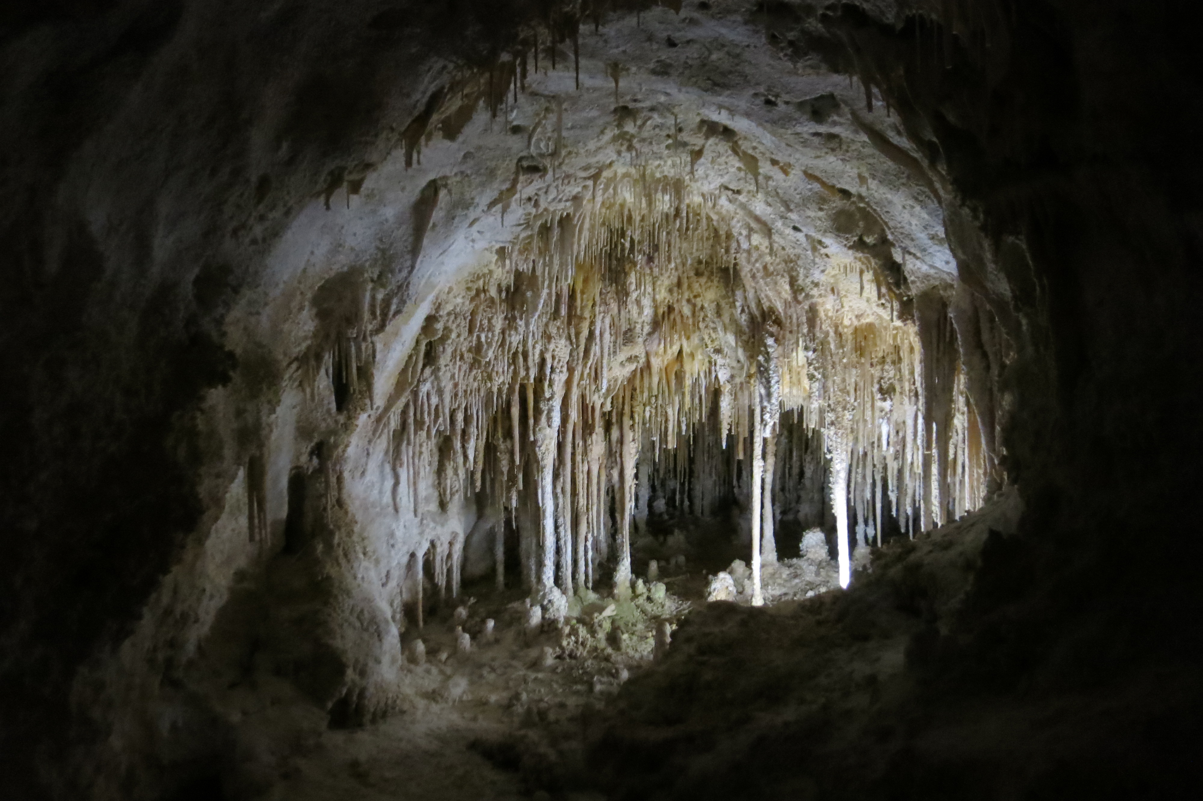 Carlsbad Caverns National Park