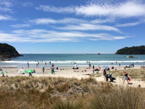 Why You Should Visit Tauranga, New Zealand