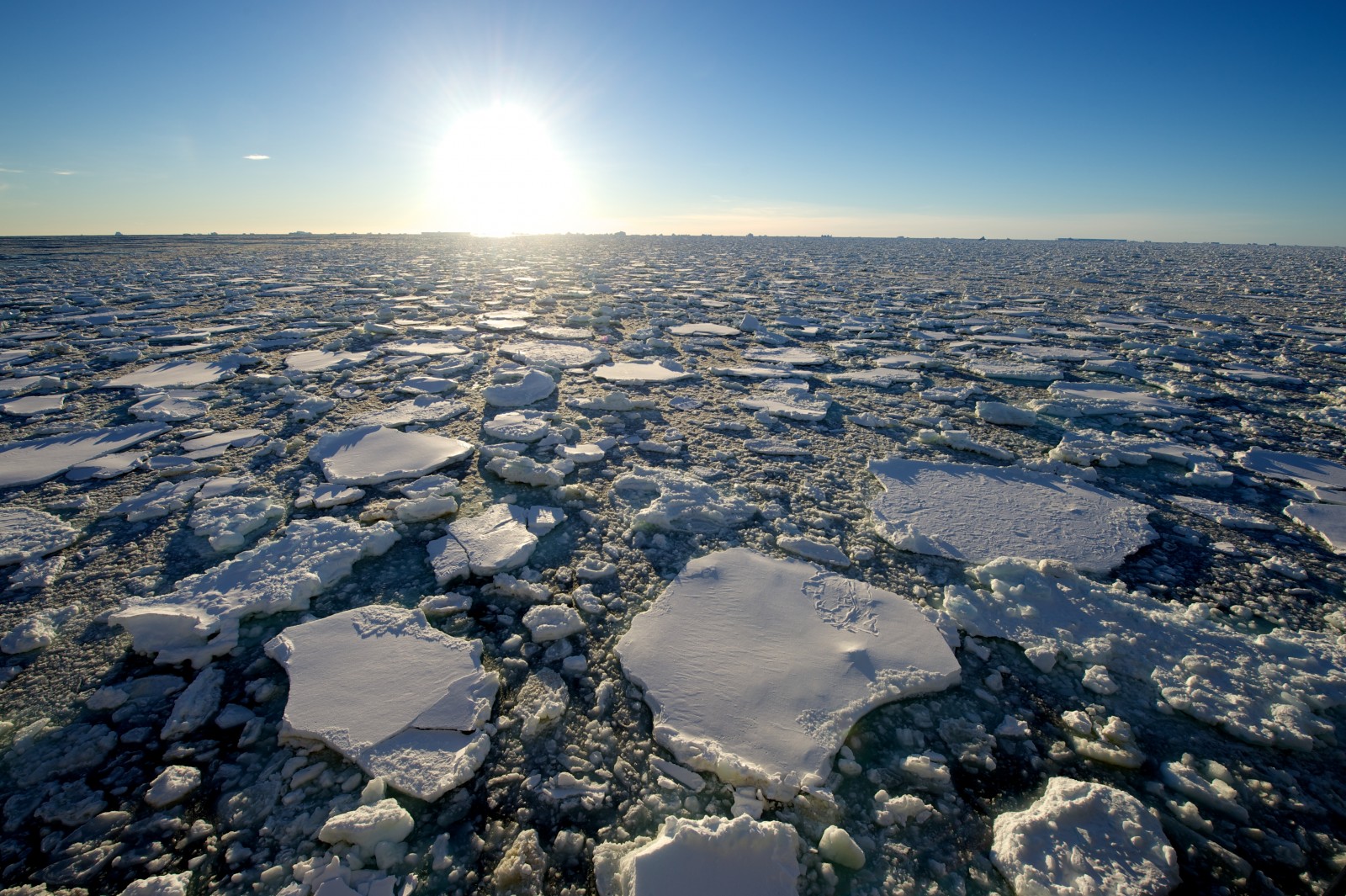 10 Amazing Photos From Antarctica That'll Make You Want To Go Now